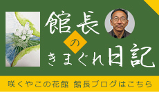 館長の部屋 咲くやこの花館 館長ブログはこちら