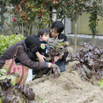 役立つ植物広場