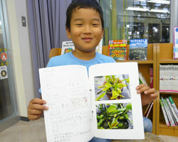 Pictorial book_s