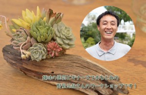 nozato_3