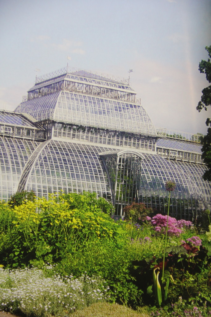 咲くやこの花館でのひととき ２ 大阪の植物園 咲くやこの花館