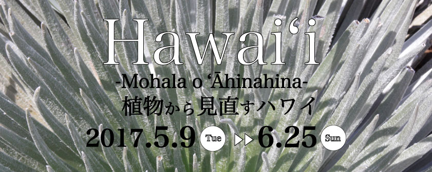 ハワイの植物展