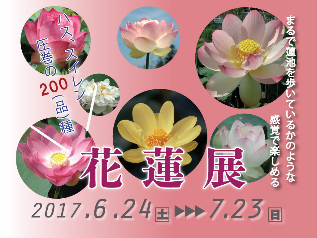 花蓮展