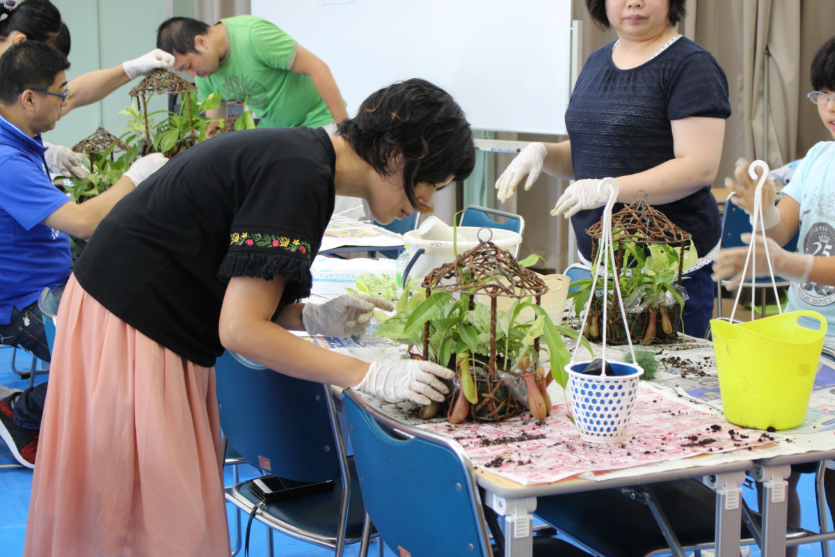 食虫植物寄せ植え6