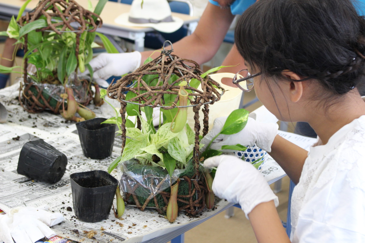食虫植物と観葉植物の寄せ植え教室」を開催しました！8/5 | 大阪の植物園-咲くやこの花館－