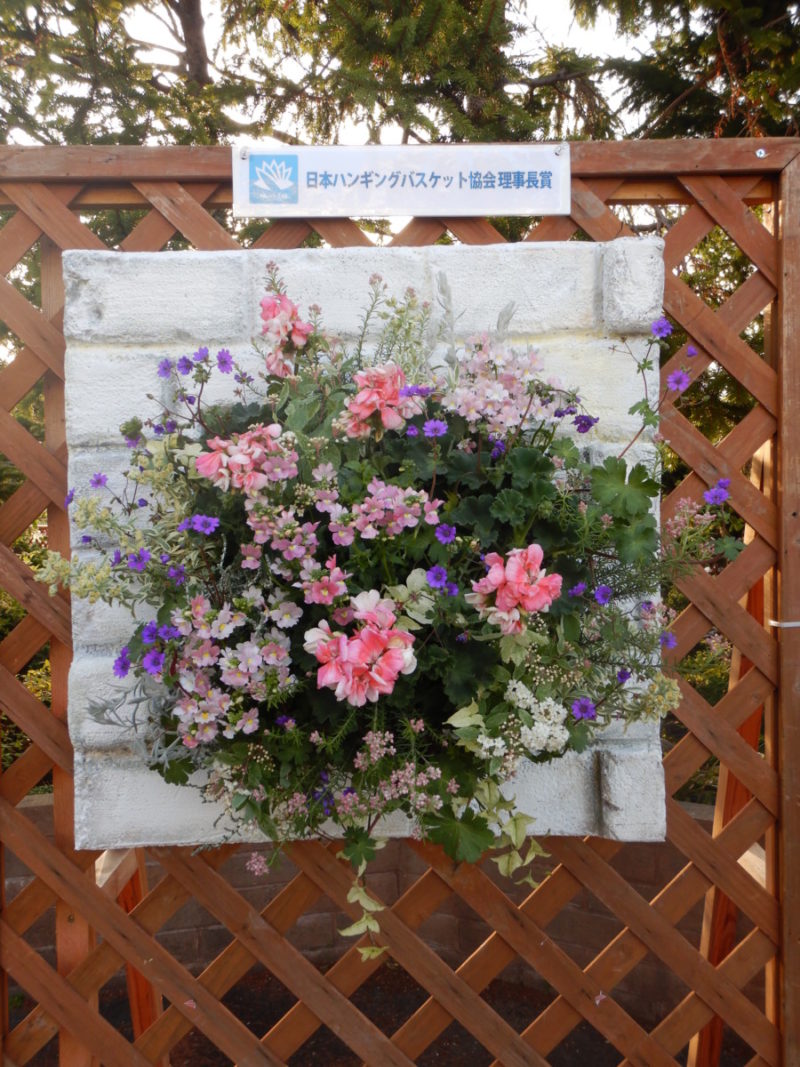 第54回春のハンギングバスケット展 大阪の植物園 咲くやこの花館