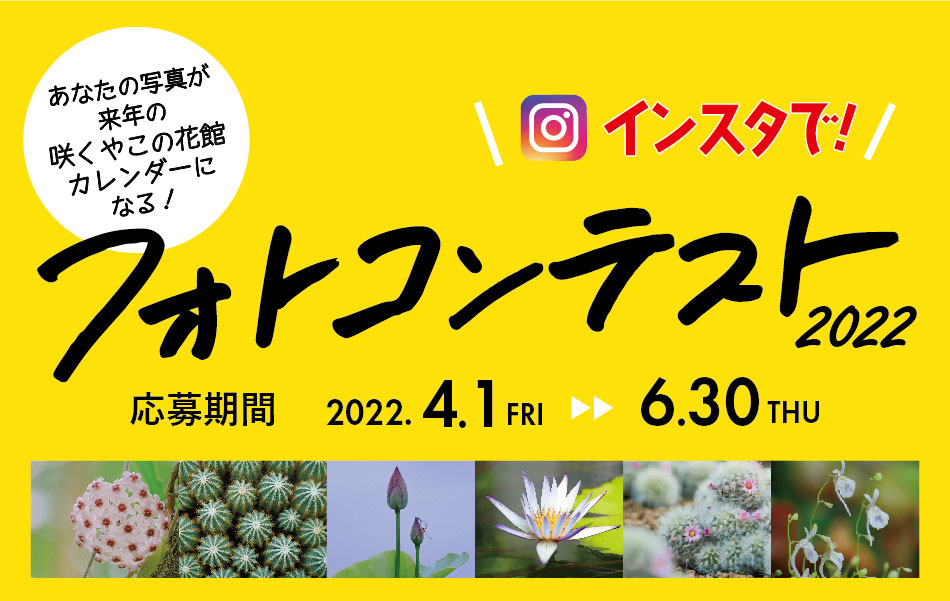 大阪の植物園 咲くやこの花館