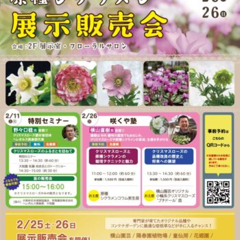 イベント情報 大阪の植物園 咲くやこの花館