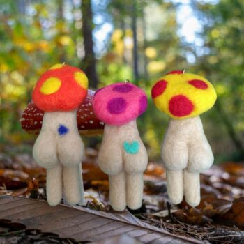 きのこマーケット | 大阪の植物園-咲くやこの花館－