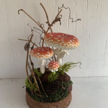 きのこ　ソックプー Post by ぴ☆ぐれっつん on X: きのこの勝利！