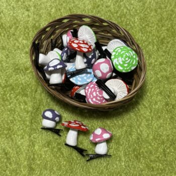 きのこマーケット | 大阪の植物園-咲くやこの花館－